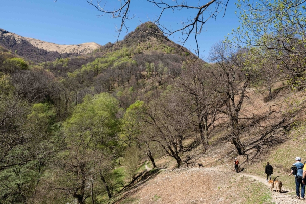Attraverso i villaggi e i boschi di castagni del Ticino