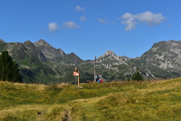 Blühende Alpwiesen und Hochmoore am Lukmanier