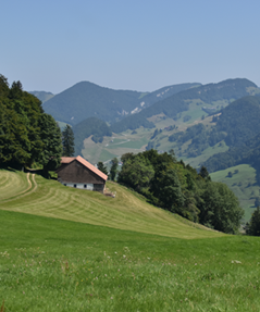 Beinwil, Schachen - Wasserfallen