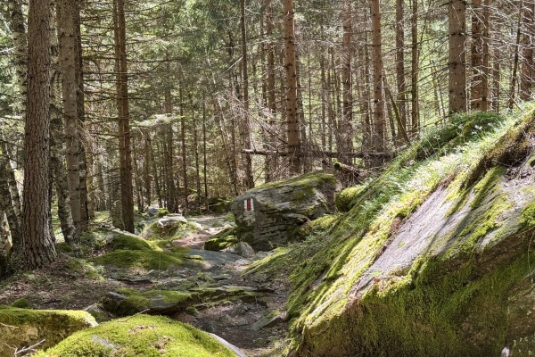 Valle di Campo, sauvage et romantique