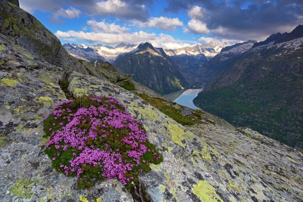 Aussichtsreich zum Oberaarsee