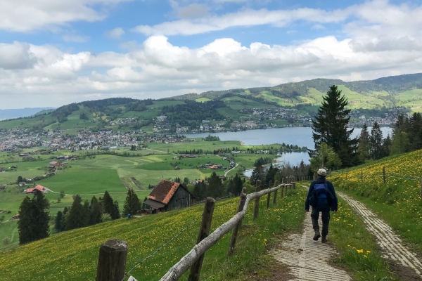 Vom Ägerisee hinauf zu den Hochmooren
