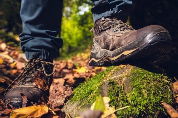 Exklusive Wanderedition „Lebenswege“