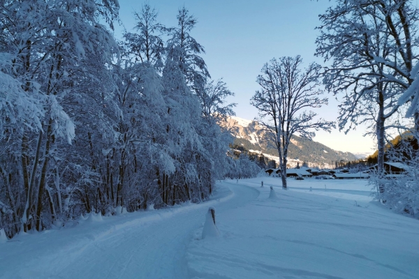 Randonnée à plat jusqu’aux chutes de la Simme