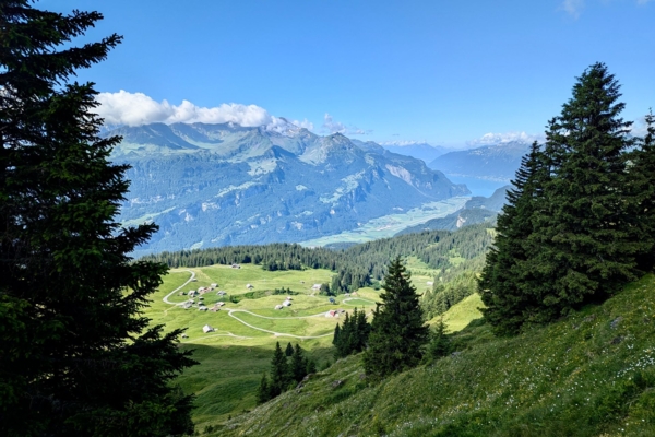 Grosses Panorama auf dem Gibel