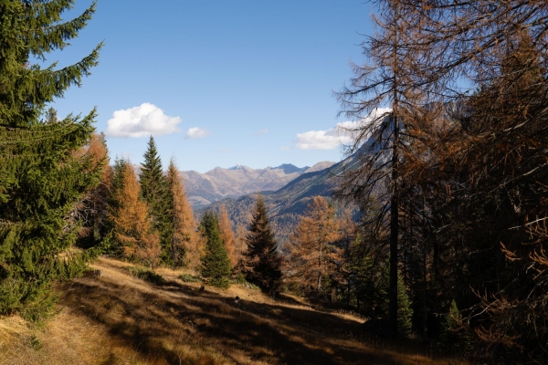 Panoramaschleife oberhalb von Ramosch