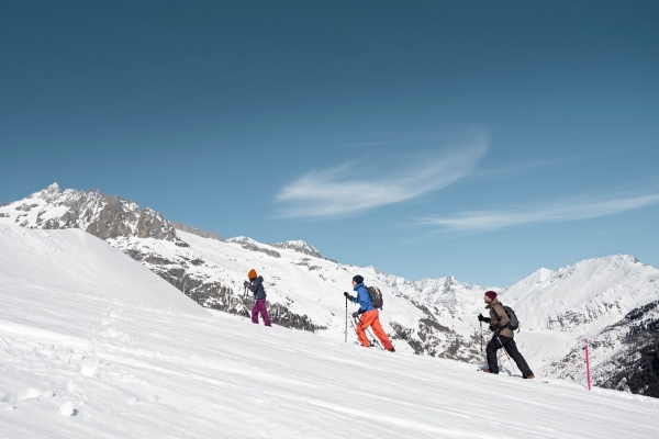 SWW_Winter_3152242