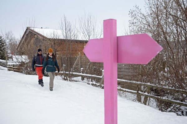 SWW_Winter_2021_2151506