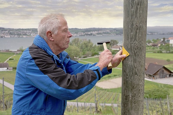 SWW_Image_Newsletter_Beitrag_800x600_2