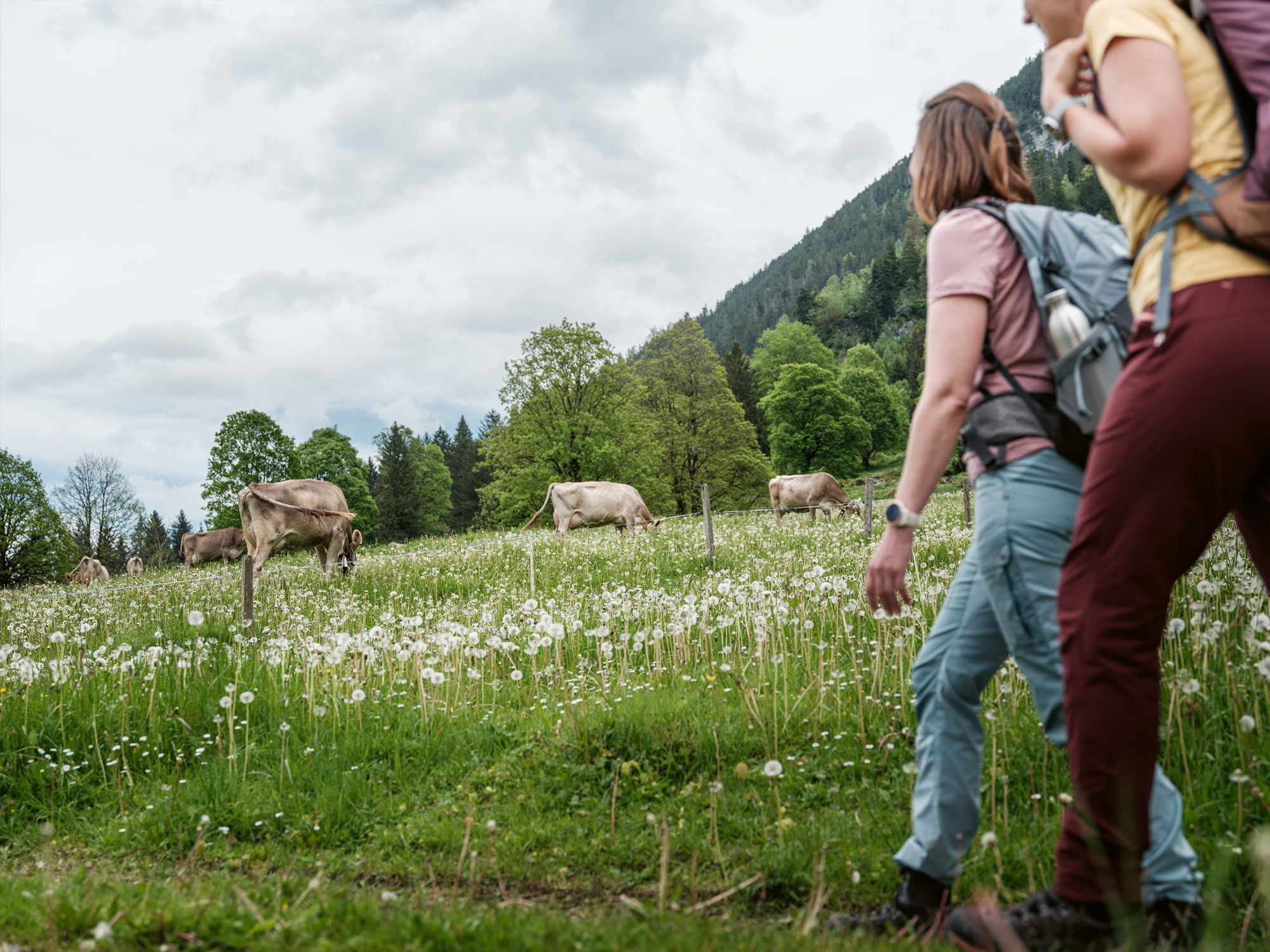 SWW_Spring_2024_1670