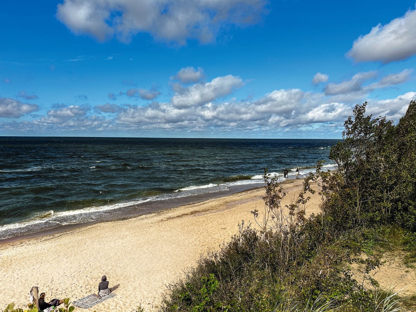 20230828_094242547_iOS