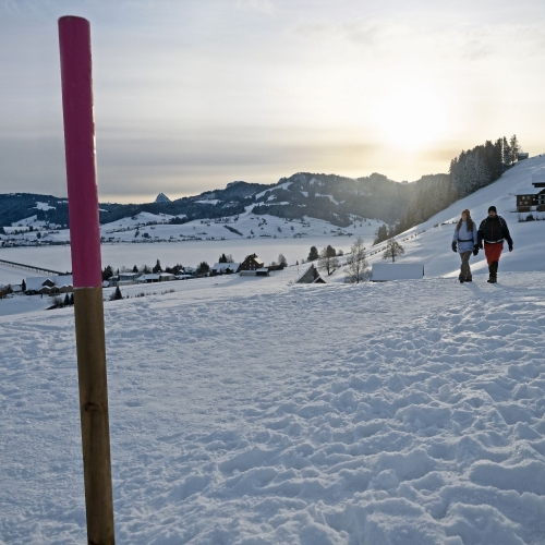 confirmation_poteau-de-marquage_chemin-de-randonnée-hivernale_Einsiedeln
