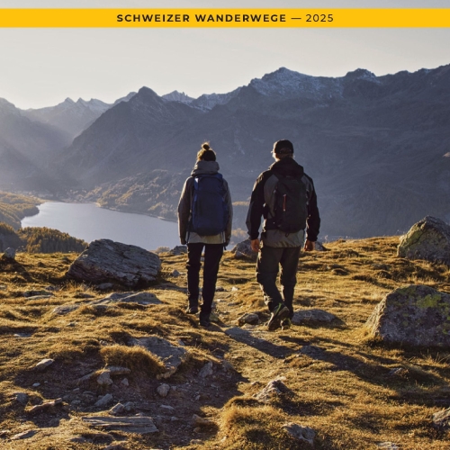 SR_Rapport-annuel_2025