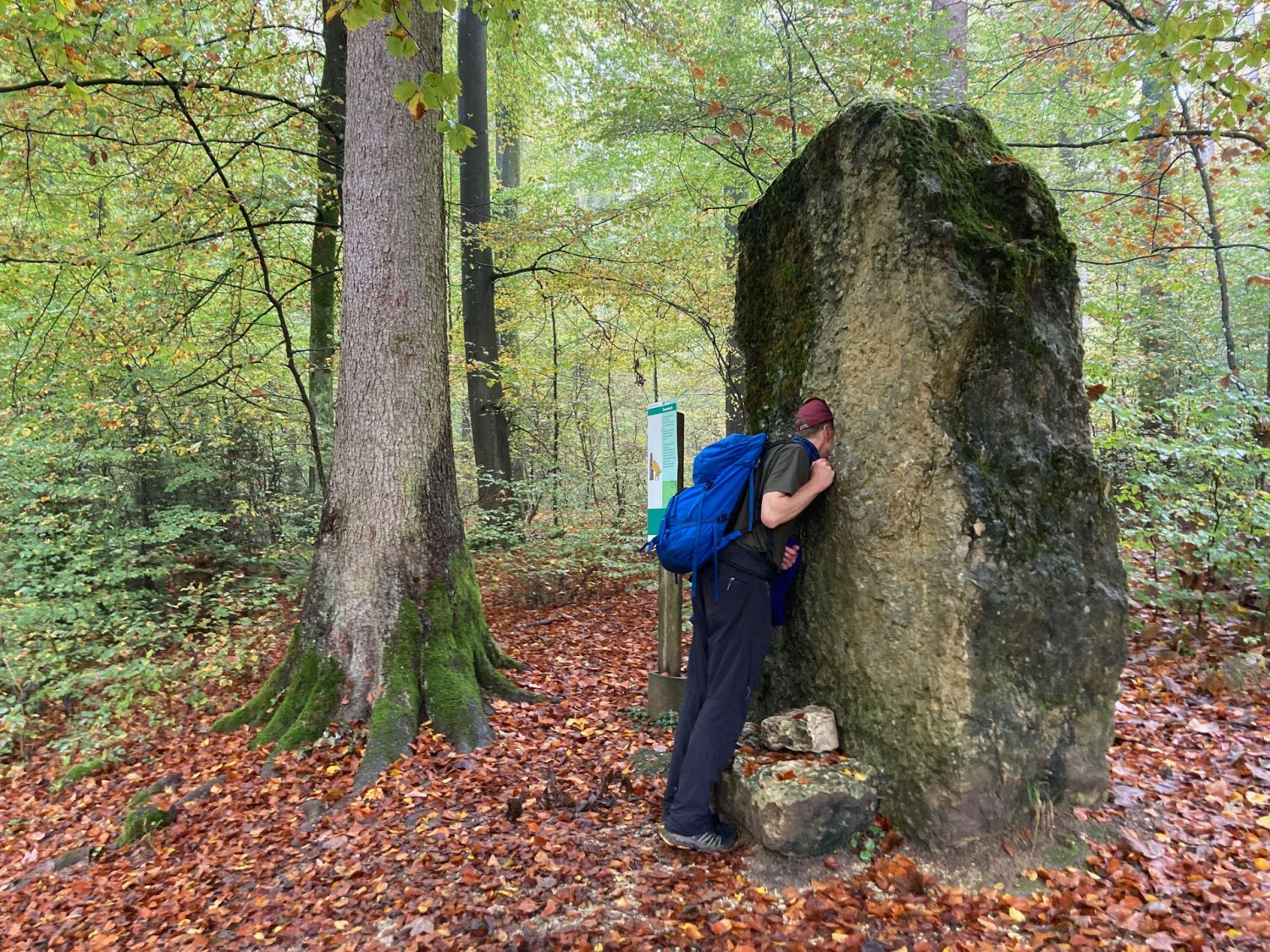Klangstein im Banwald