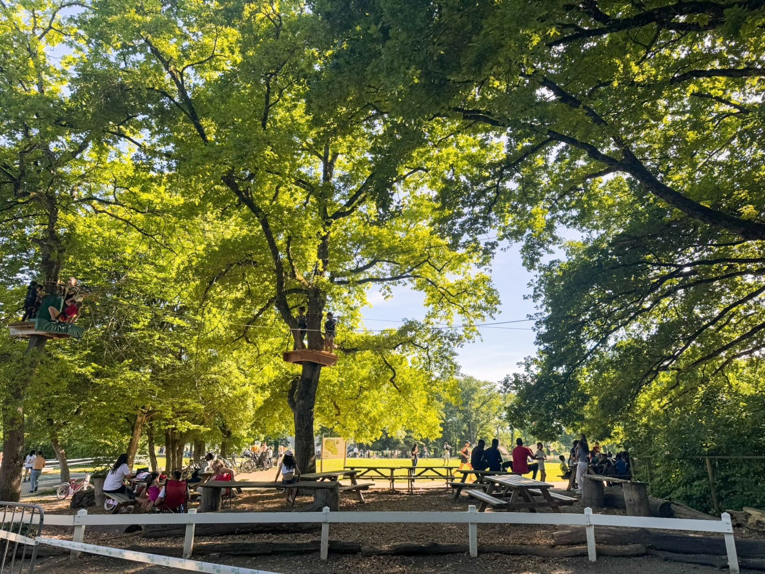 Molti ginevrini trascorrono il fine settimana nel parco Les Evaux.