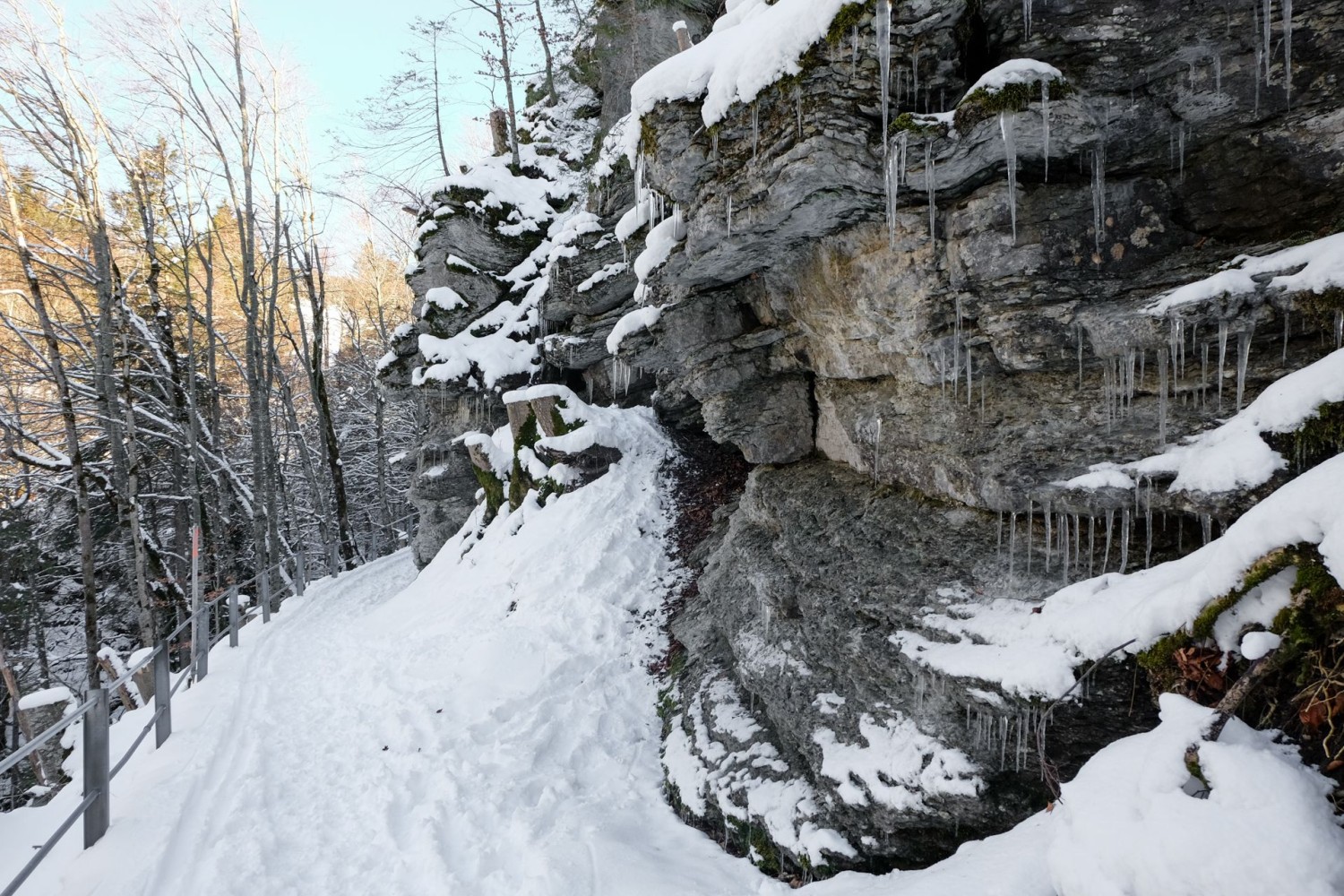 Hinein ins Vorderbergtobel. Ein Steg wird über den Fallenbach führen.