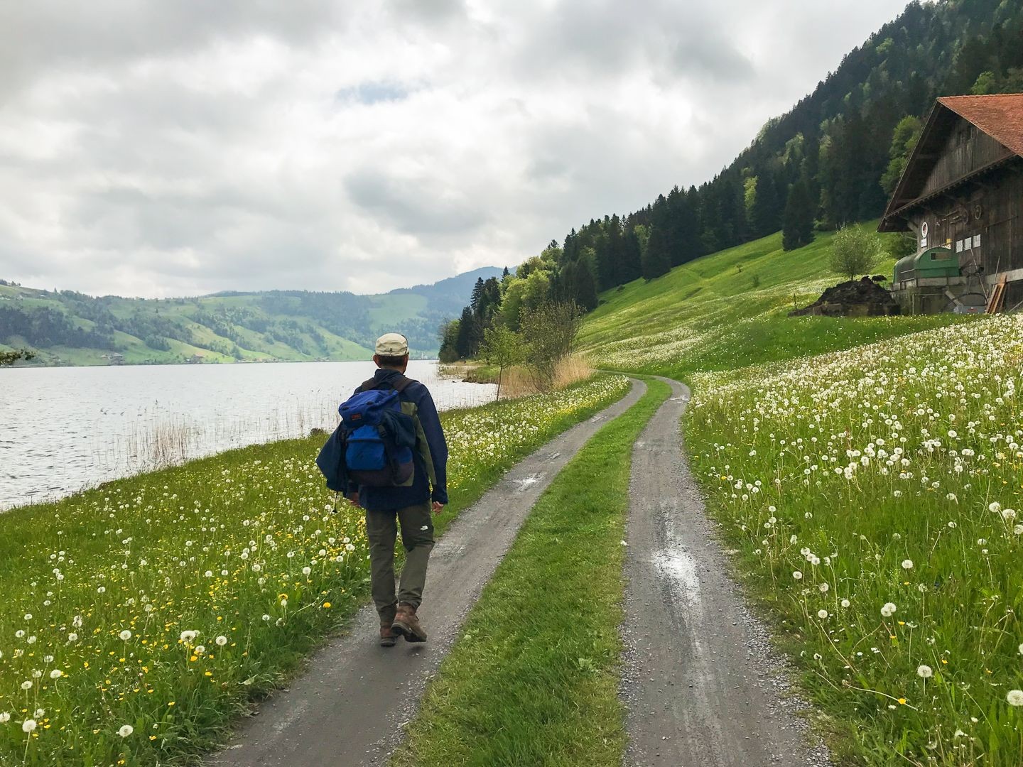 Dem Bergwald entgegen führt die Wanderung zunächst dem Ufer des Ägerisees entlang.
