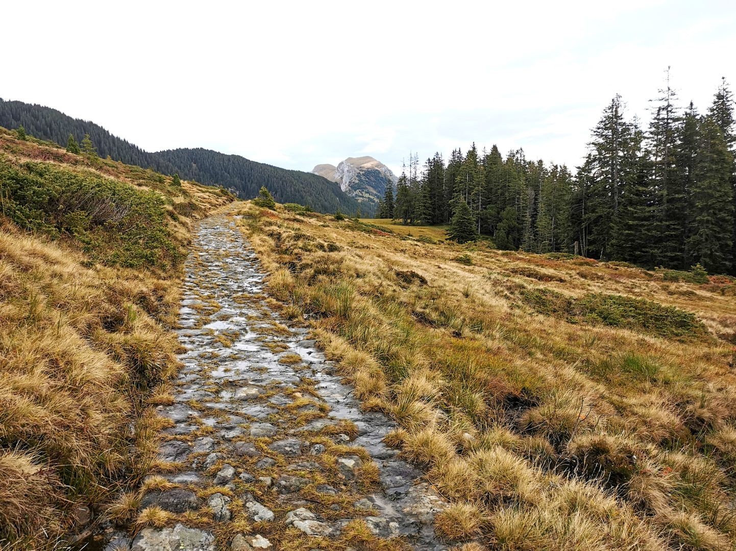 Le chemin d’alpage au pied de la chaîne du Pilate a été construit pendant la Seconde Guerre mondiale par des internés polonais.
