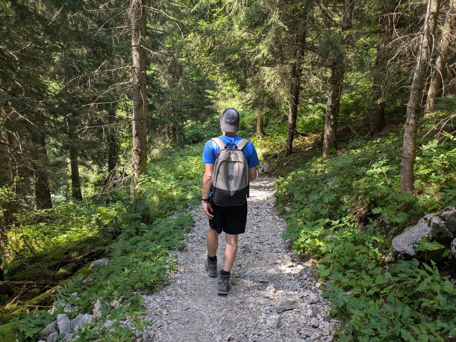 Familienfreundlich unterwegs. Auch im Waldabschnitt bleibt der Weg gut begehbar – perfekt für Gross und Klein.