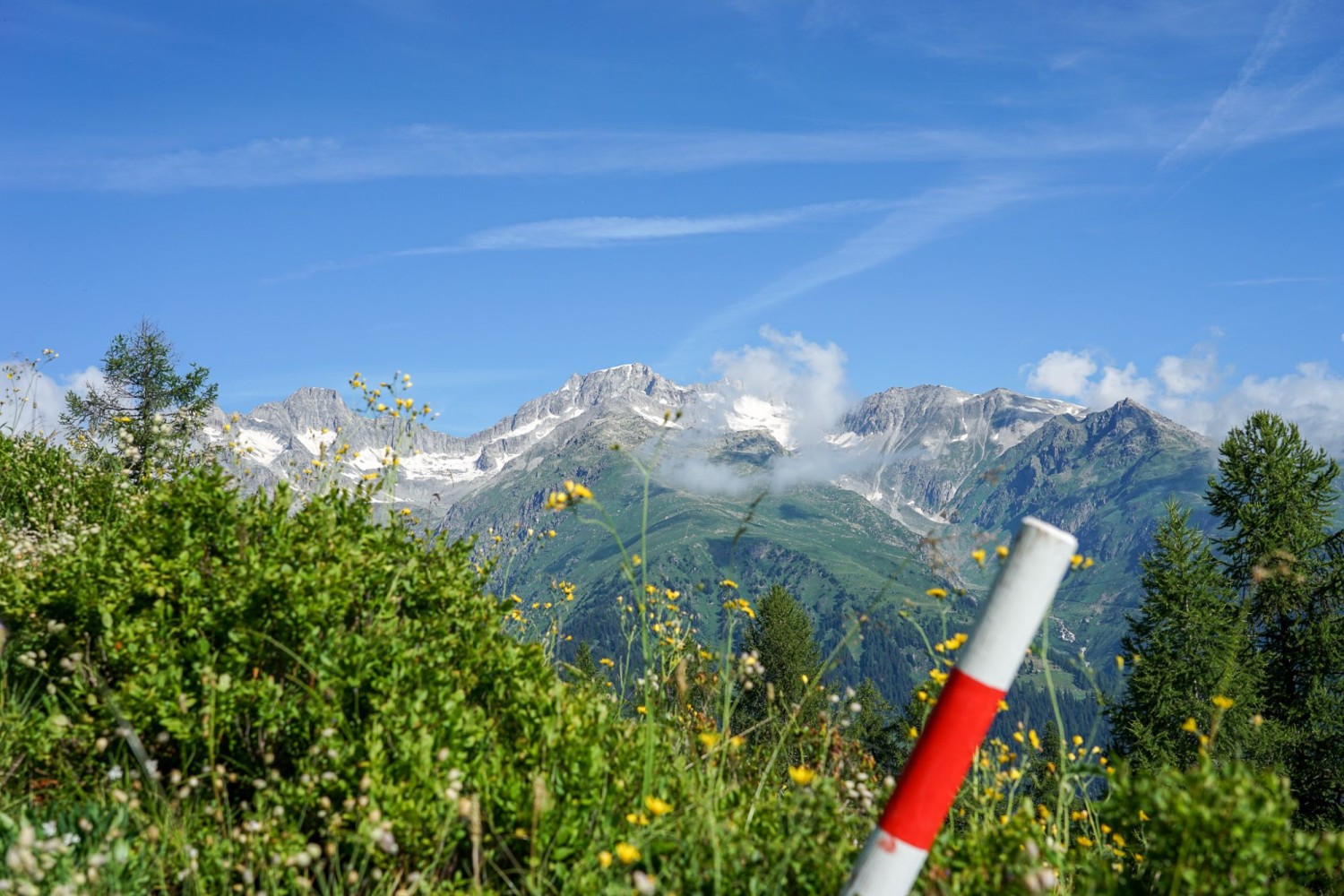 Von der Alp Bordstafel bietet sich ein schöner Ausblick auf die Walliser und die Berner Alpen.