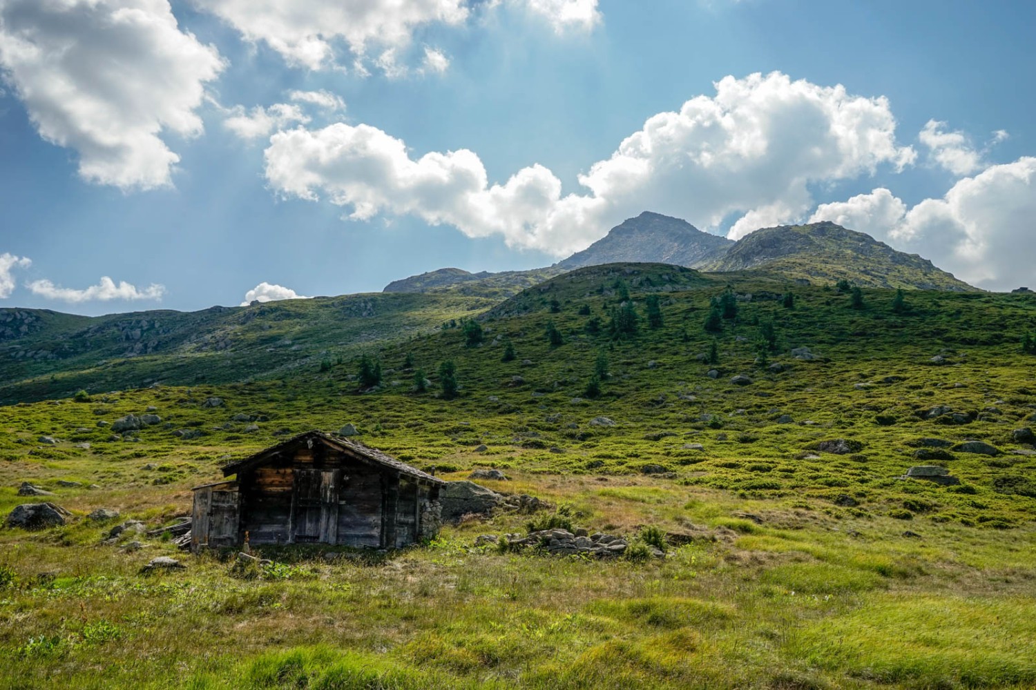 À Follebode, avec le Brudelhorn en toile de fond. Photo: Fredy Joss