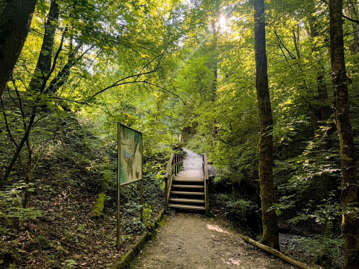 Nei boschi di Onex i sentieri sono più stretti e più fiabeschi.