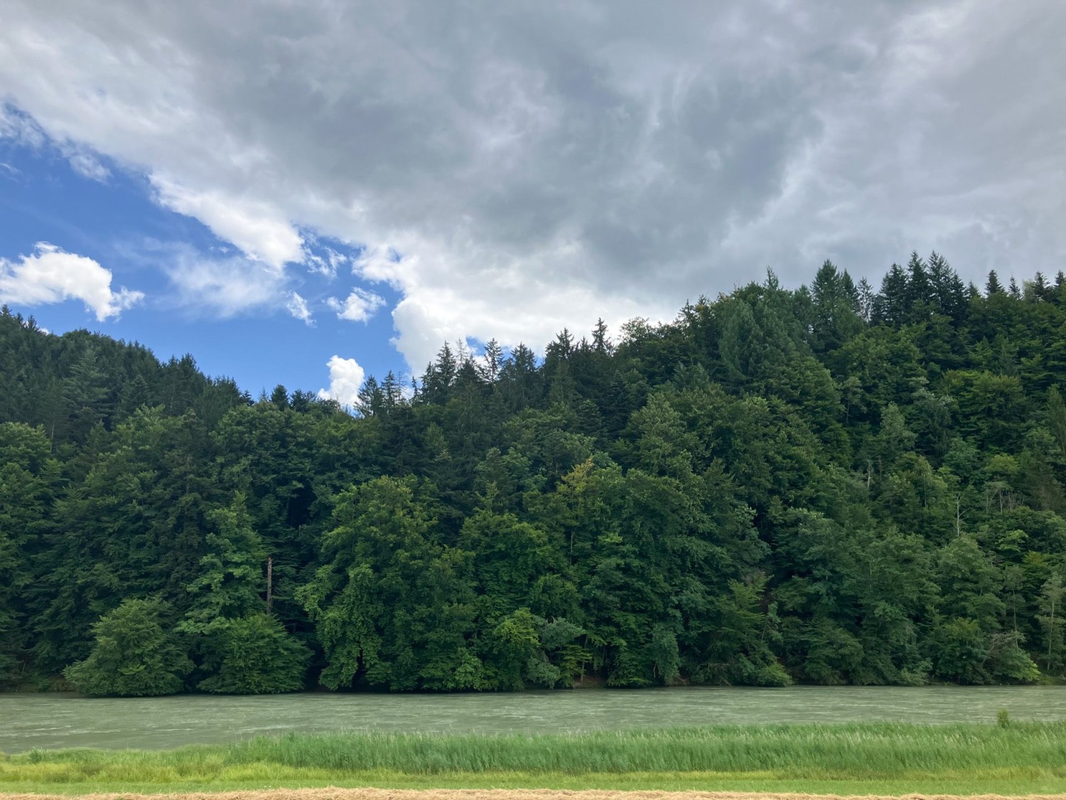 Entspannende Wanderung durchs Grün.