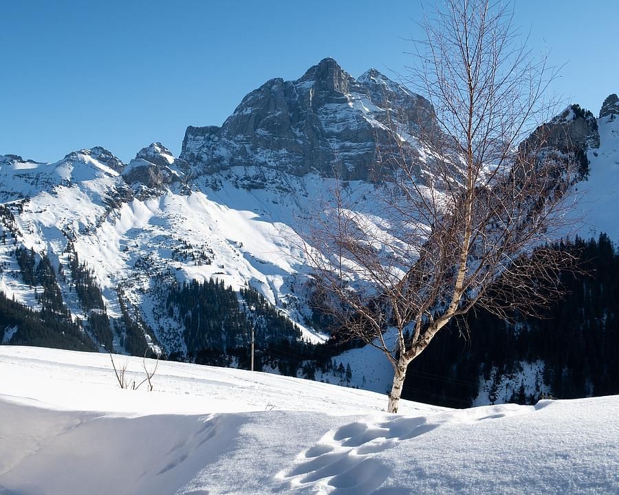 Foto: Vreni Braun; FotoPatin SchweizMobil