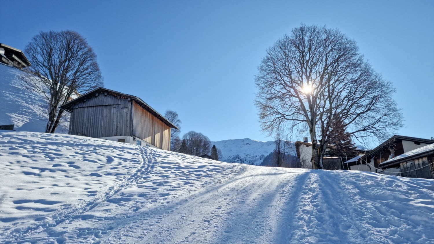 Zu Beginn der Wanderung bei Mura blinzelt die Sonne durch die kahlen Baumkronen.