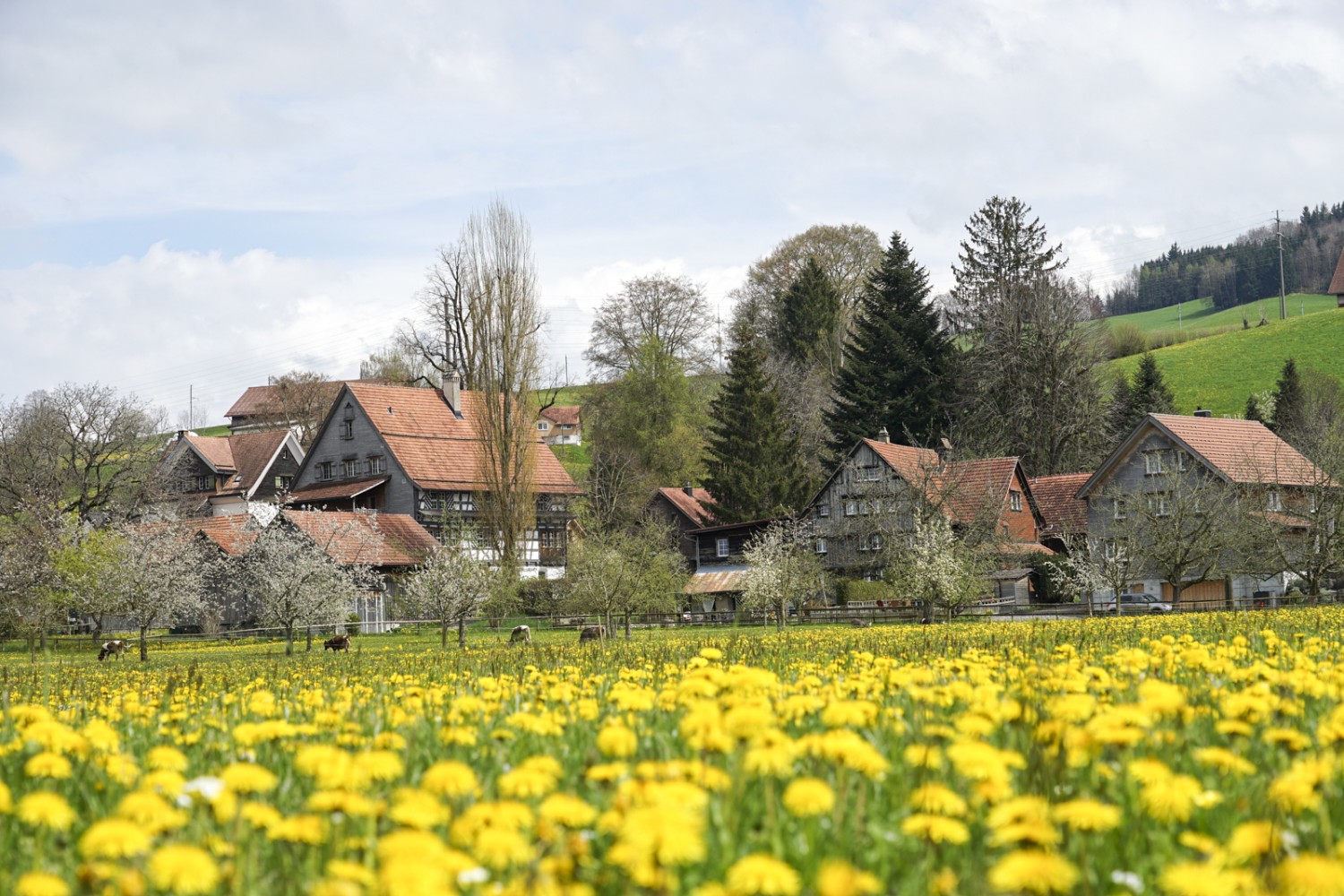 Les barons du textile habitaient jadis à Schwänberg. Photo: Reto Wissmann