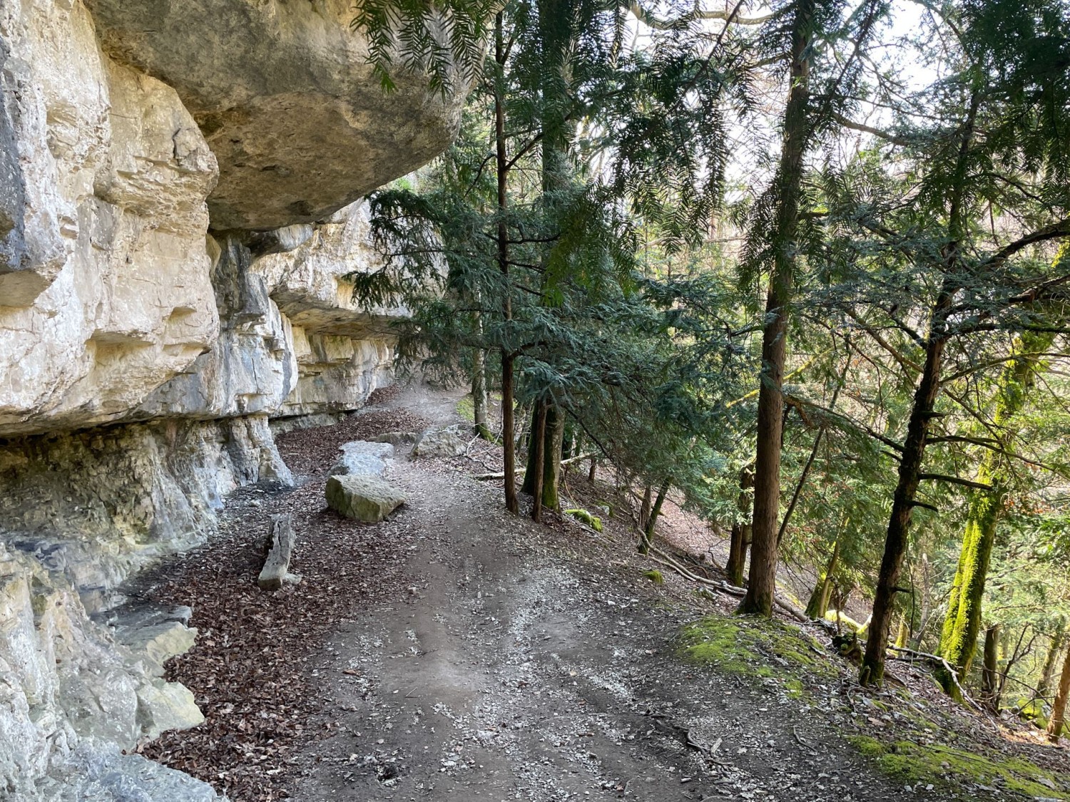 Weisser Fels säumt den Weg in den Gorges de Seyon.