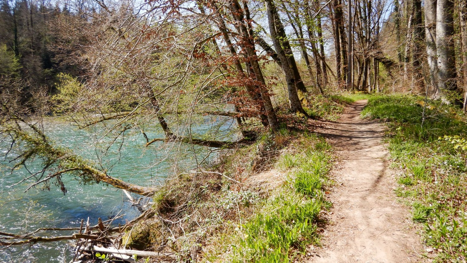 L’escursione offre una varietà di prospettive sul paesaggio fluviale.