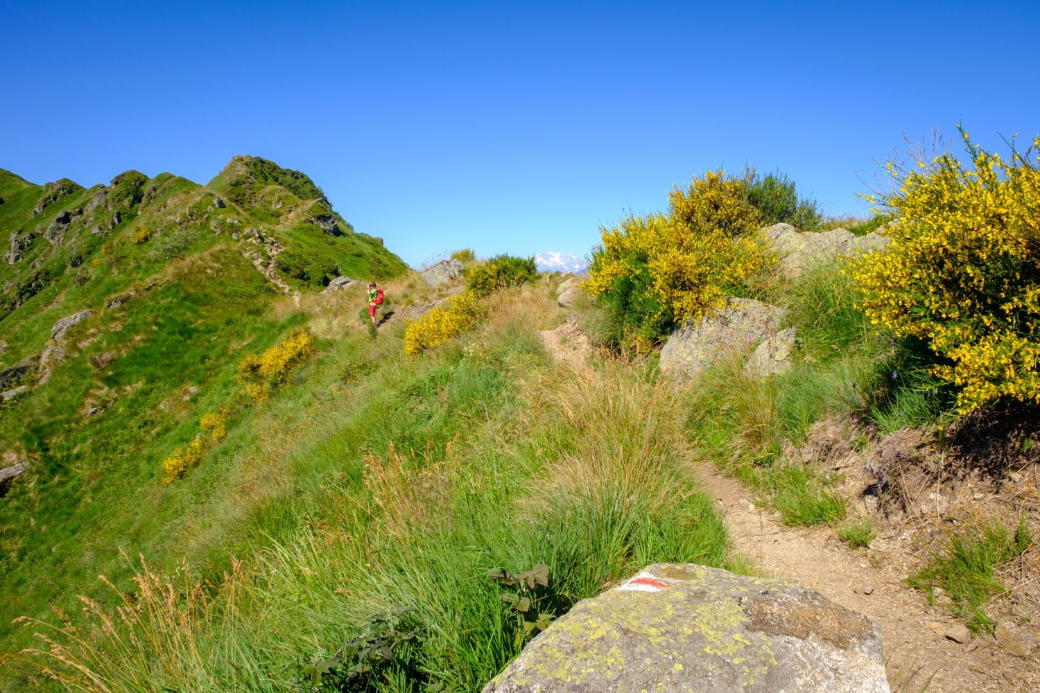 Le chemin de crête est agréable à parcourir.