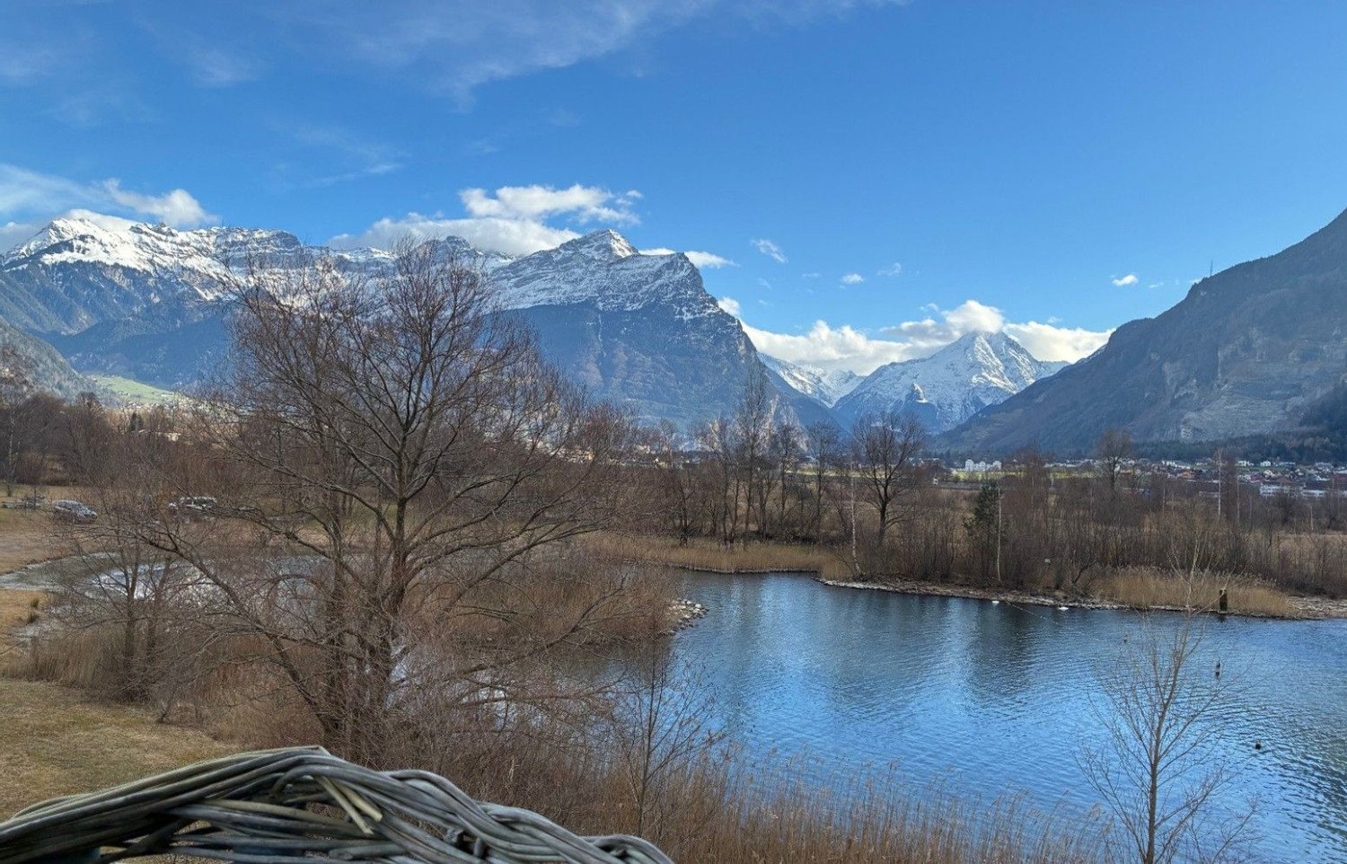 Das «Festival der Natur» macht die Schweizer Biodiversität mit Veranstaltungen wie einer geführten Exkursionswanderung durchs Urner Reussdelta erlebbar und fördert so Wertschätzung für bedrohte Lebensräume.