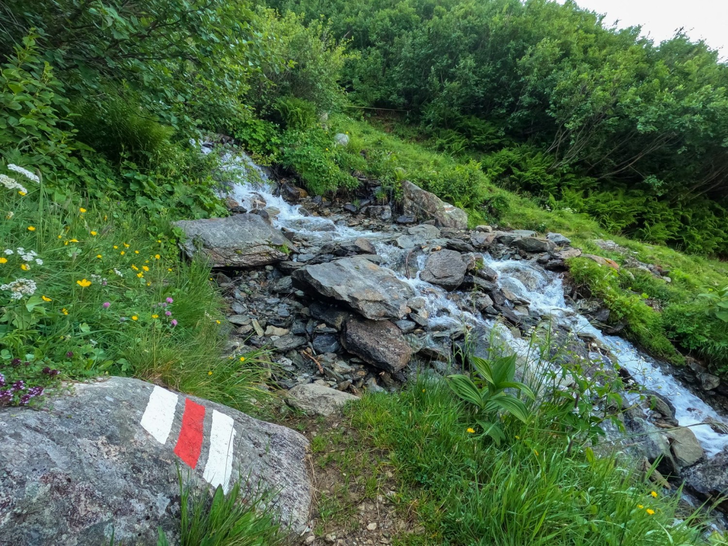 Während des Aufstiegs zum Wannisbortsee wird ein Gebirgsbach überquert.