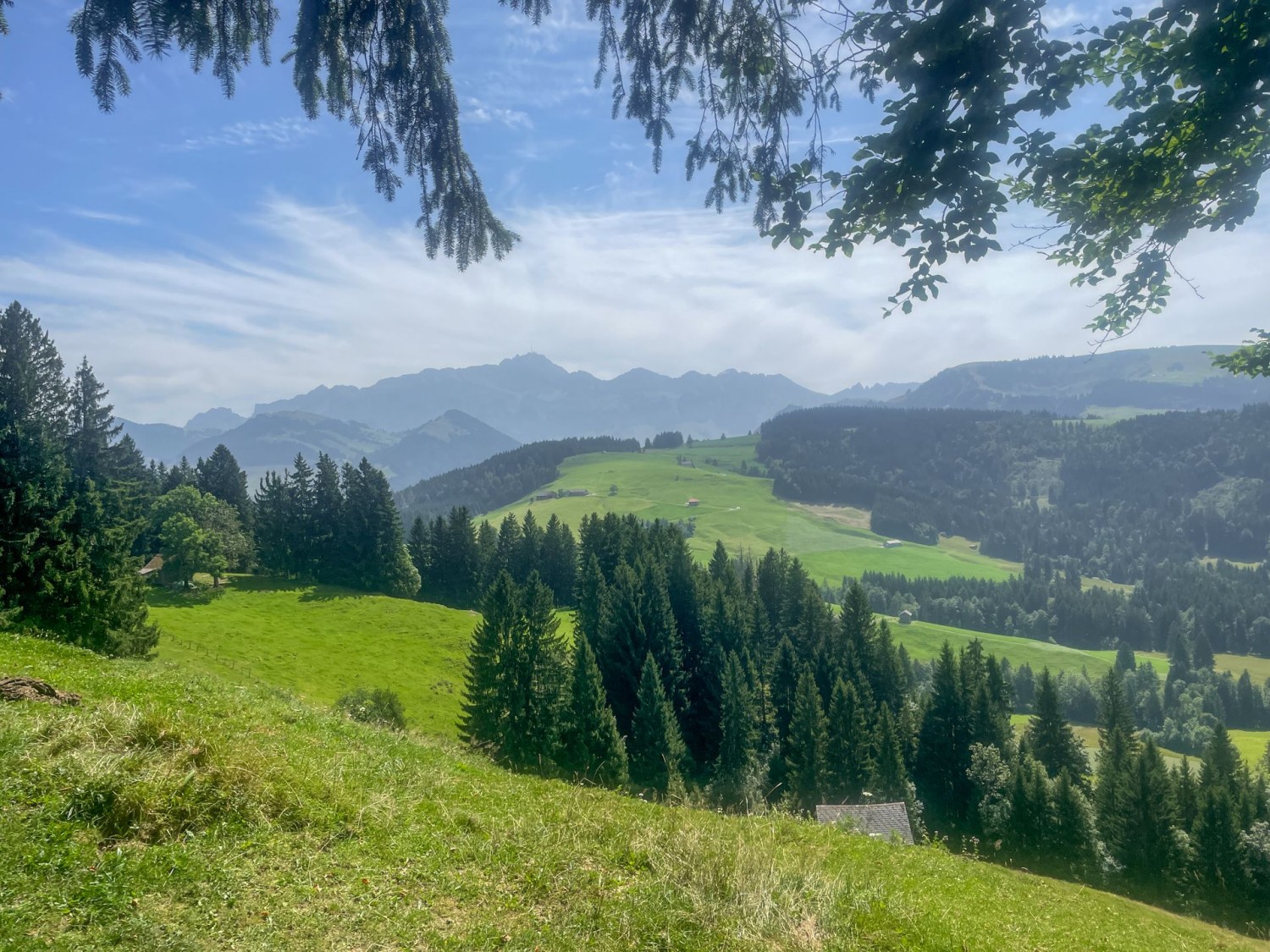 Le Säntis et encore le Säntis: on le voit aussi lors de la descente.