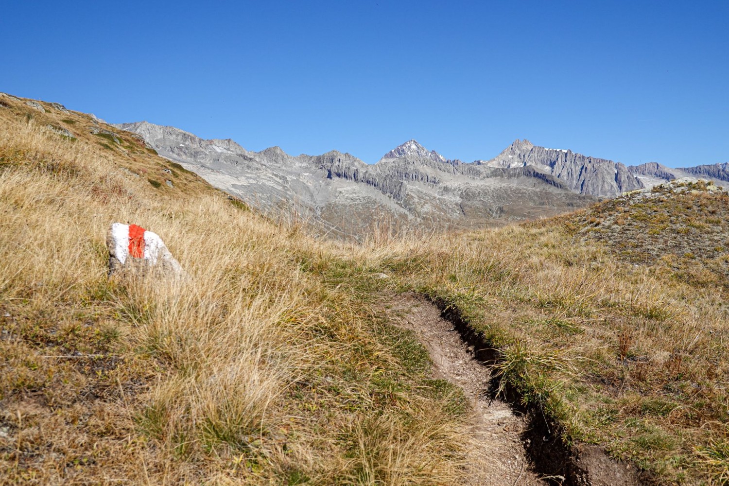Durante la salita sul Foggenhorn, lo sguardo cade sull’Aletschhorn e sul Geisshorn.