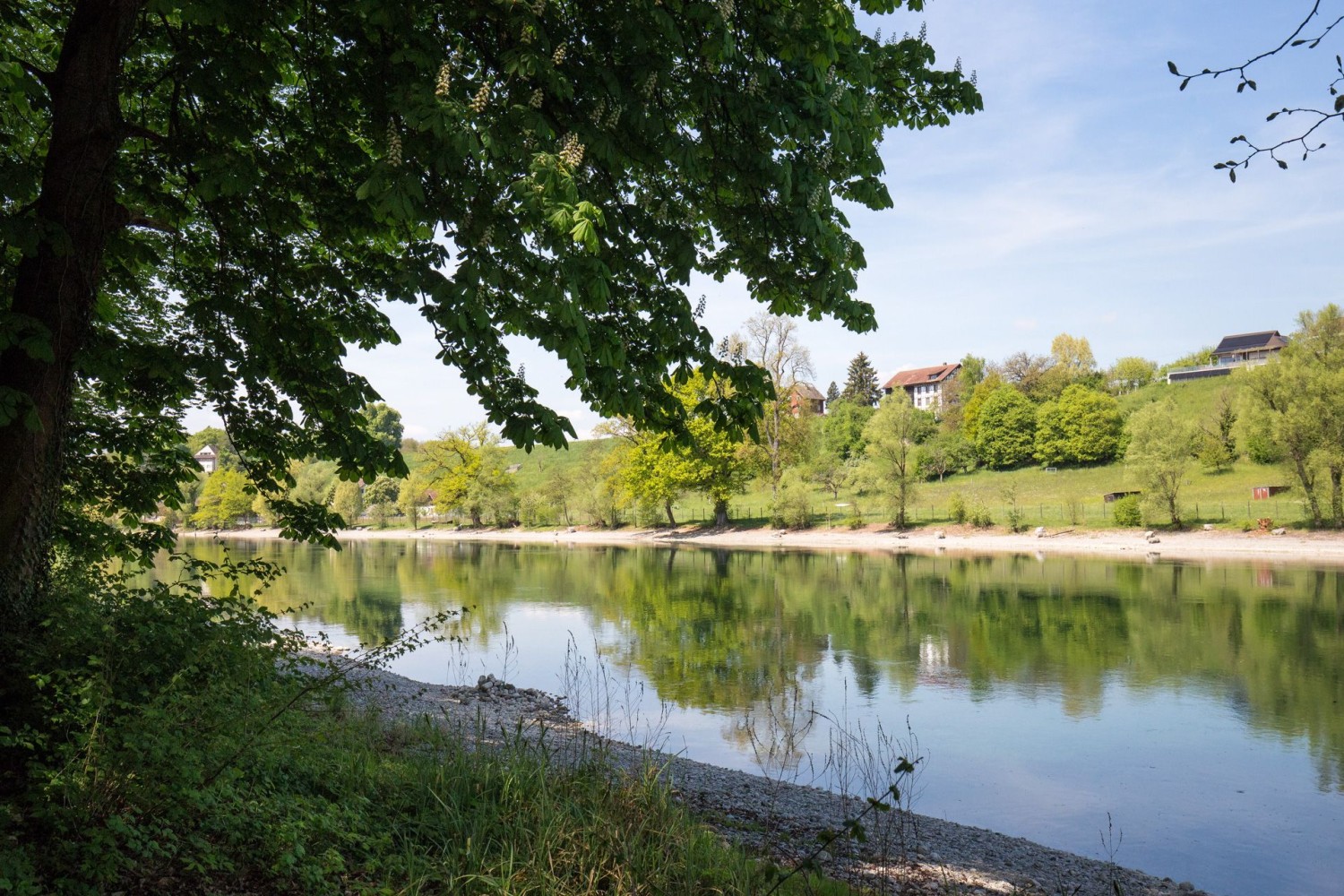 Randonnée dans la forêt de Schaare. Le chemin revient toujours vers le Rhin.
