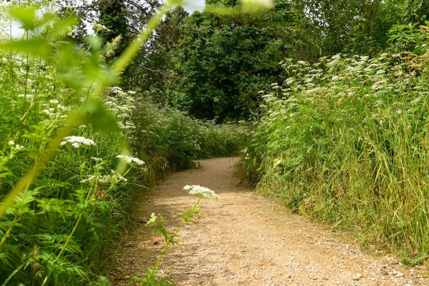 Die Route verläuft auf einem schmalen Grüngürtel.