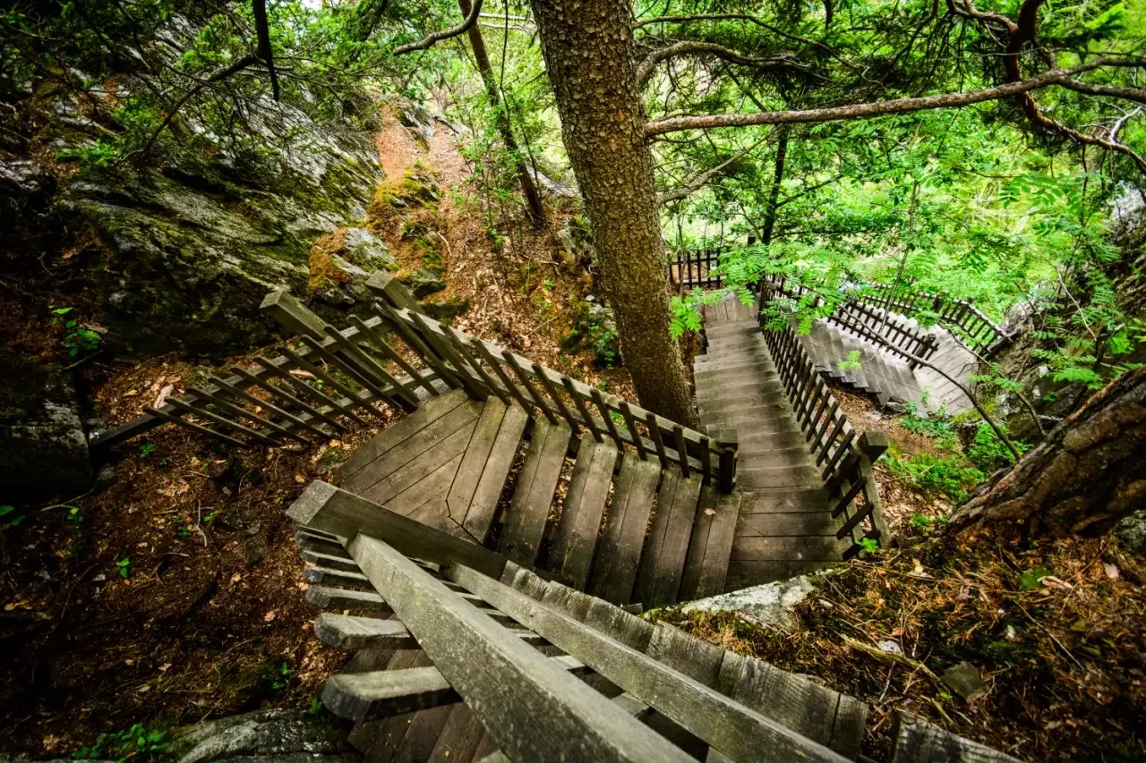 © Tintin-Photographie