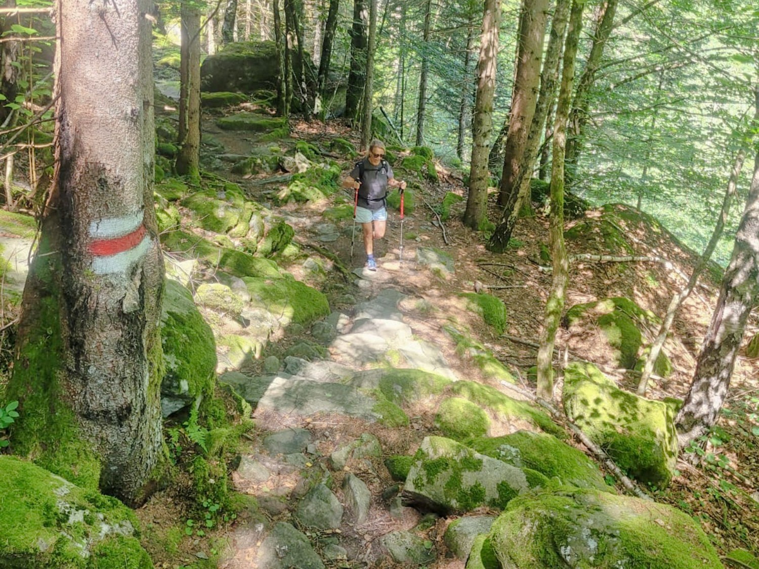 Mit Moos bewachsene Felsen schmücken den Wanderweg.