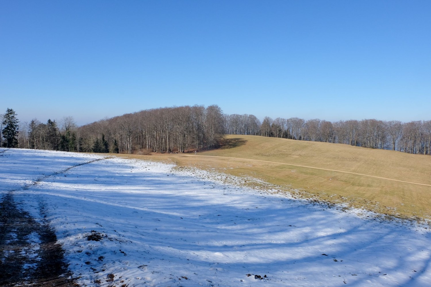 Nach der Hasmatt nimmt der Wanderweg die letzten Höhenmeter hinauf zum Wiseberg.