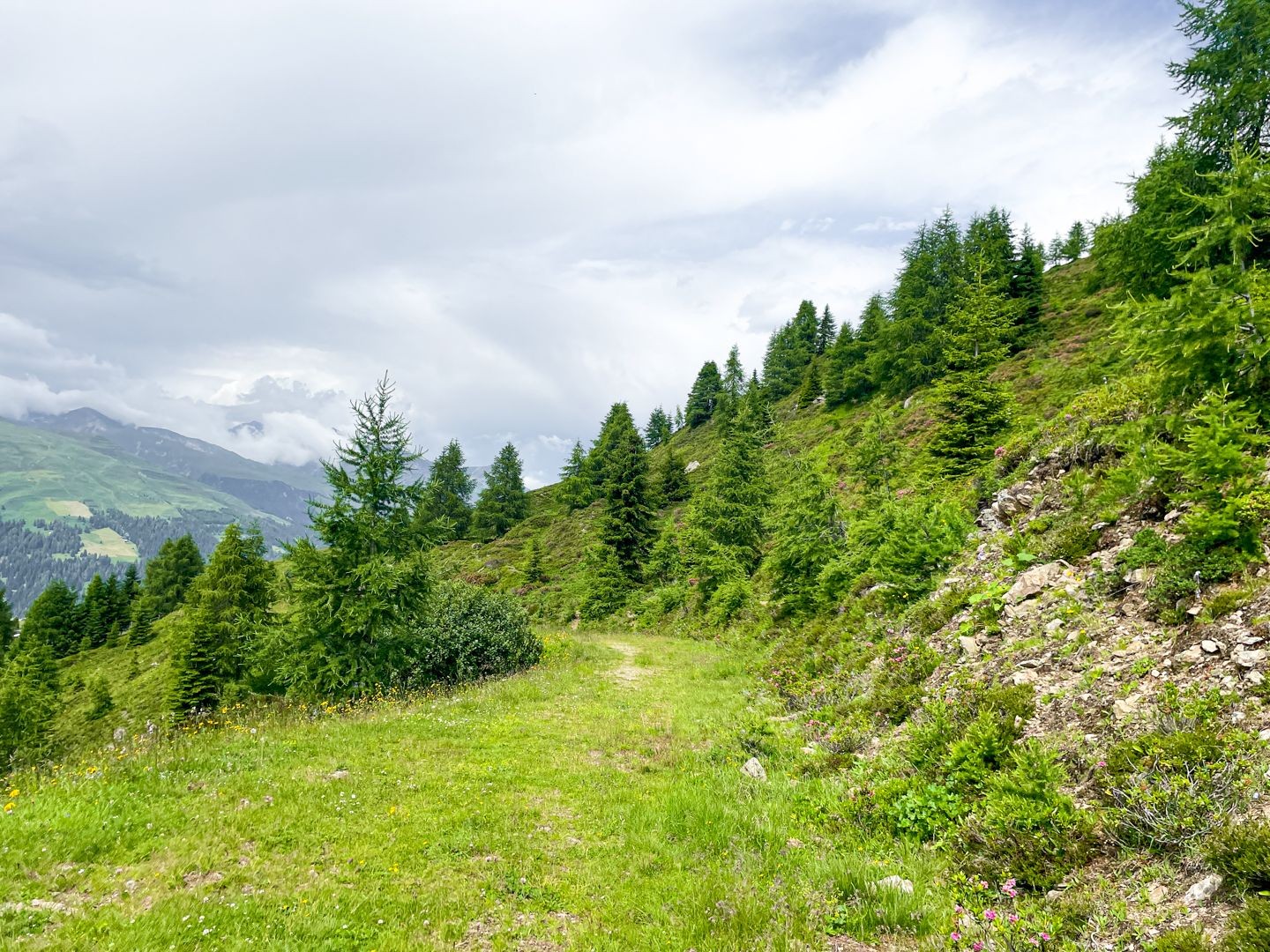 Rundwanderung aufs Rinerhorn