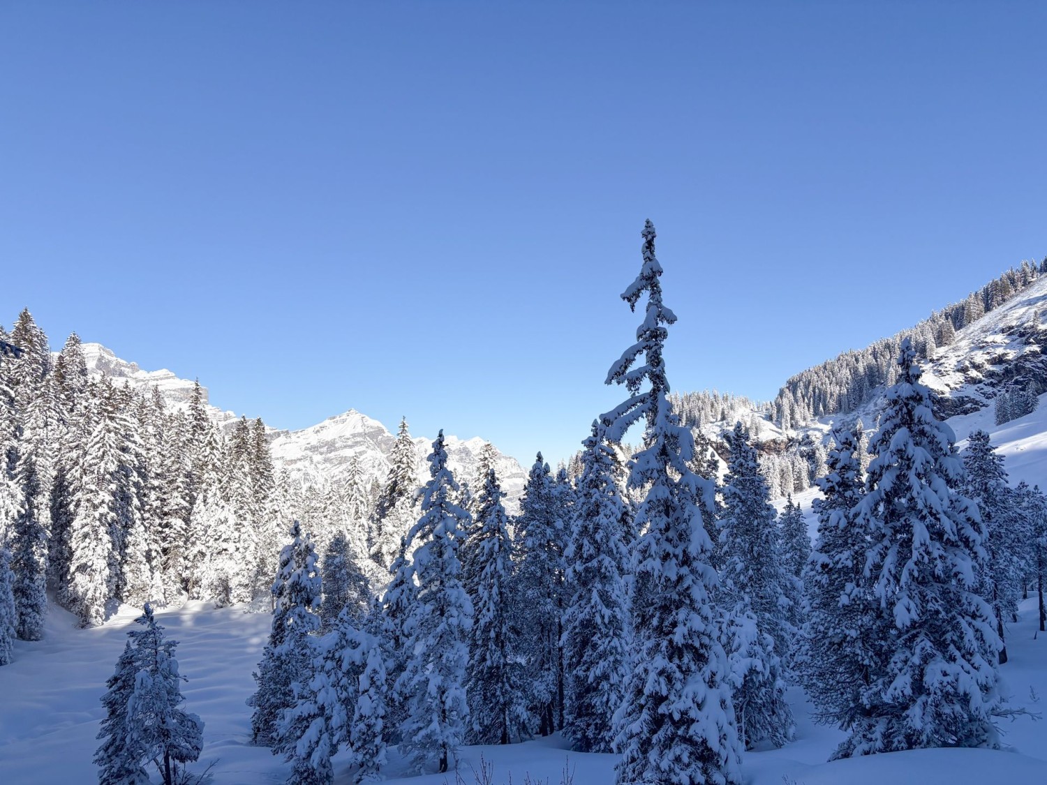 Les jeux d’ombres et de lumière créent des contrastes.