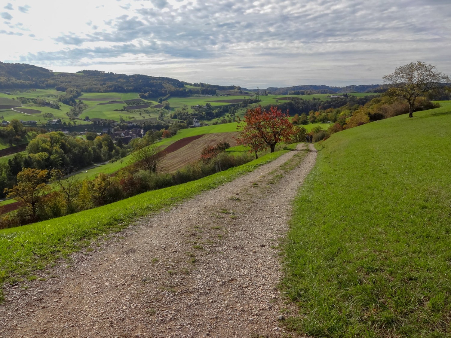 Wölflinswil ist am Ende des Weges zu erkennen. Bild: Miroslaw Halaba 
