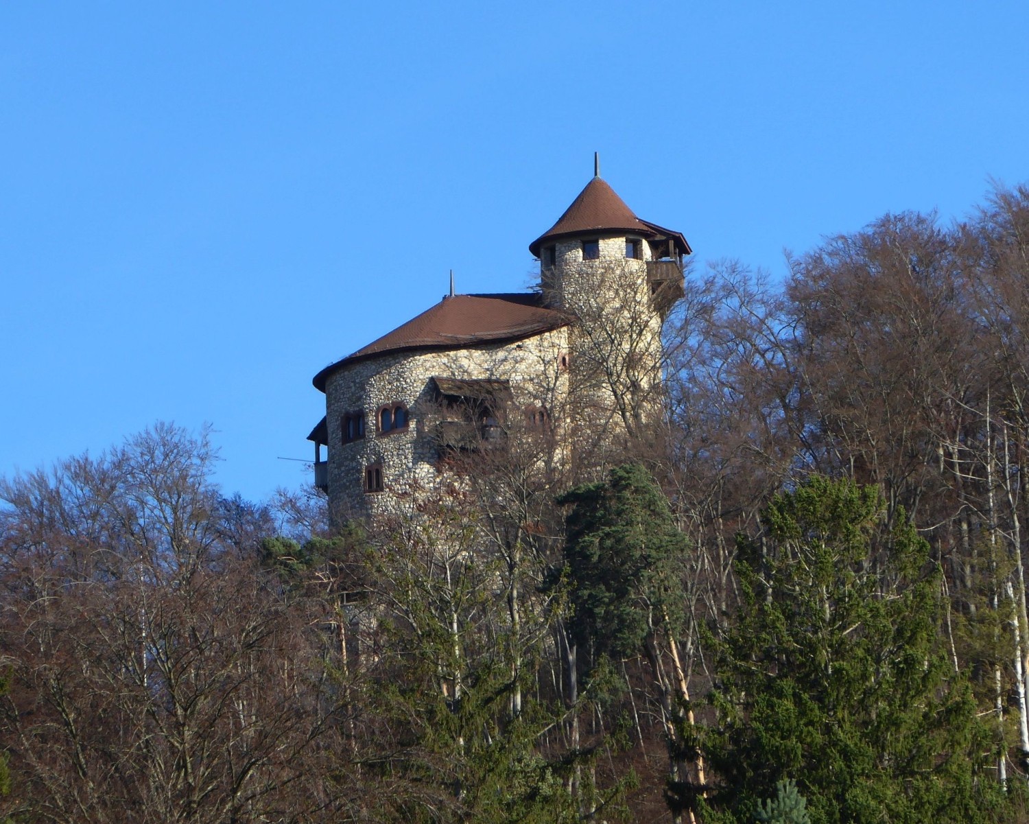 Burg Reichenstein