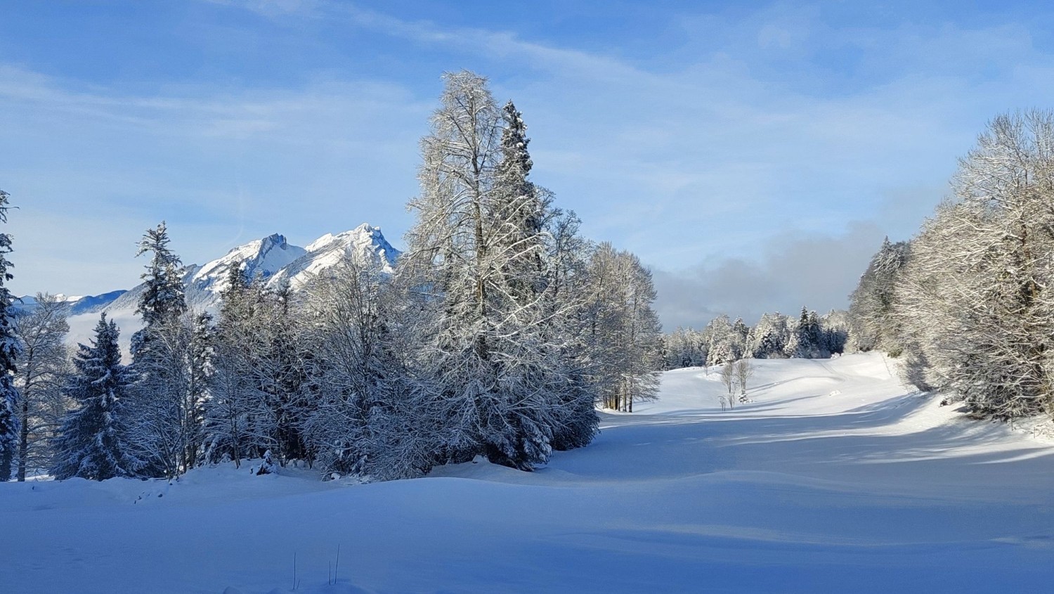 Bild: Albert Odermatt