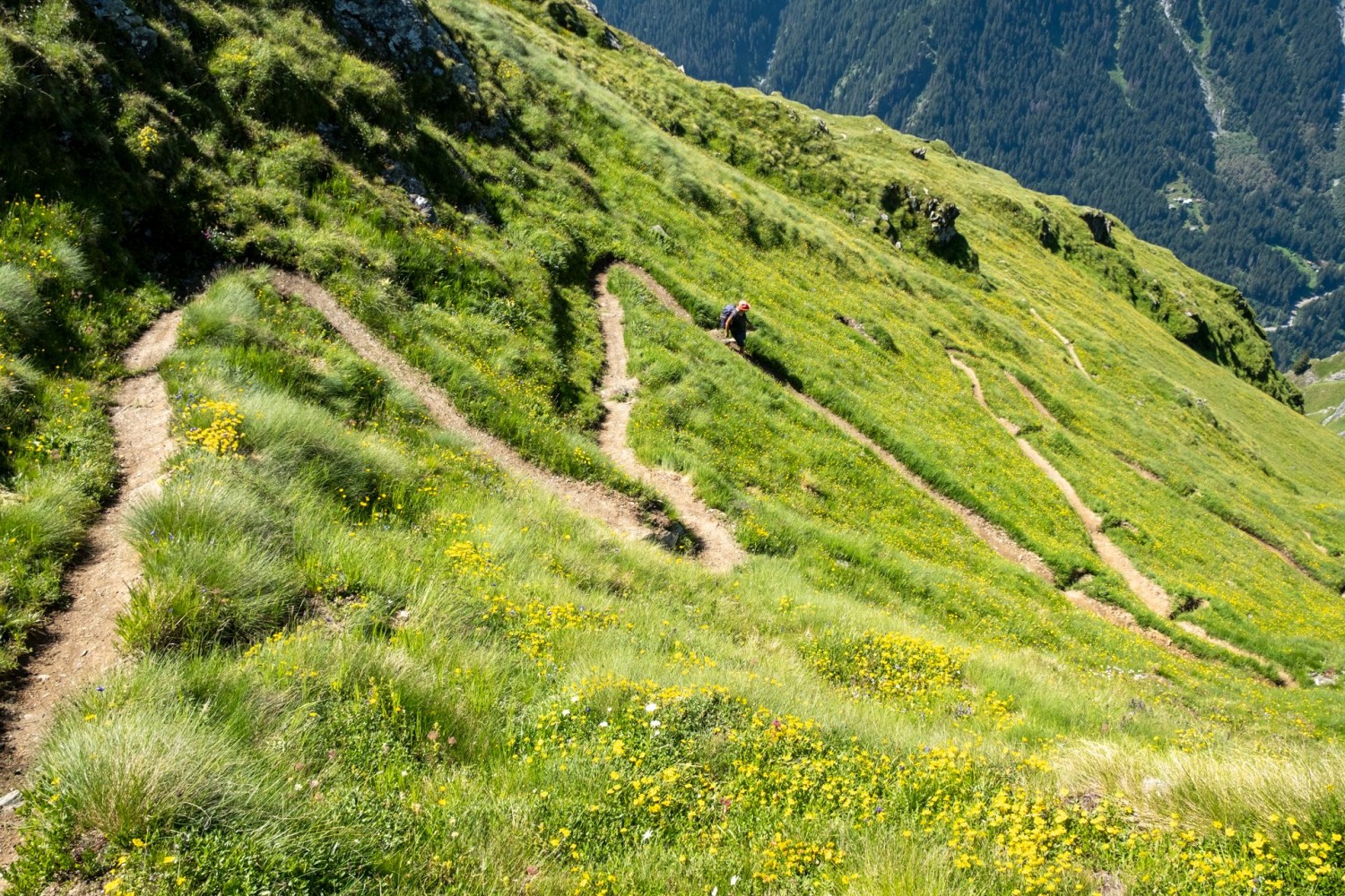 In vielen engen Kehren steigt der Sentier des Chamois vom Col Termin hinunter an den Lac de Louvie.