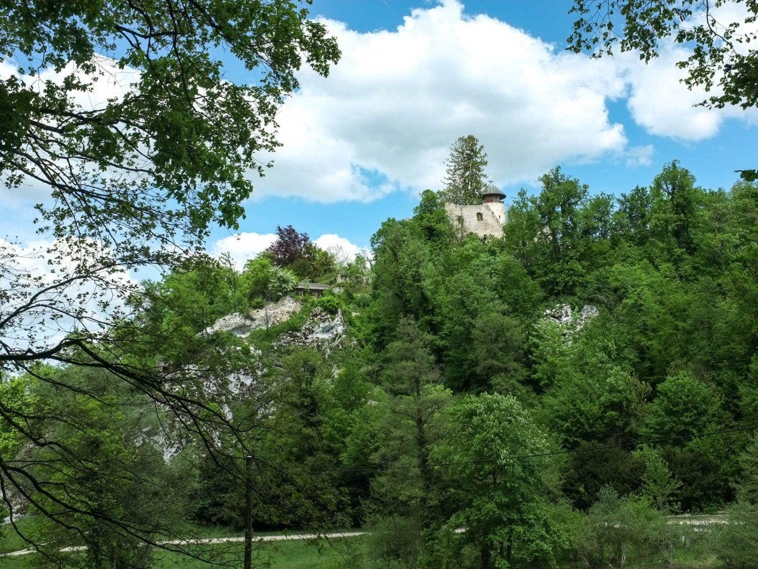 Eine weitere Burg: Das Schloss Birseck sieht man vom Wanderweg aus. Bild: Claudia Peter