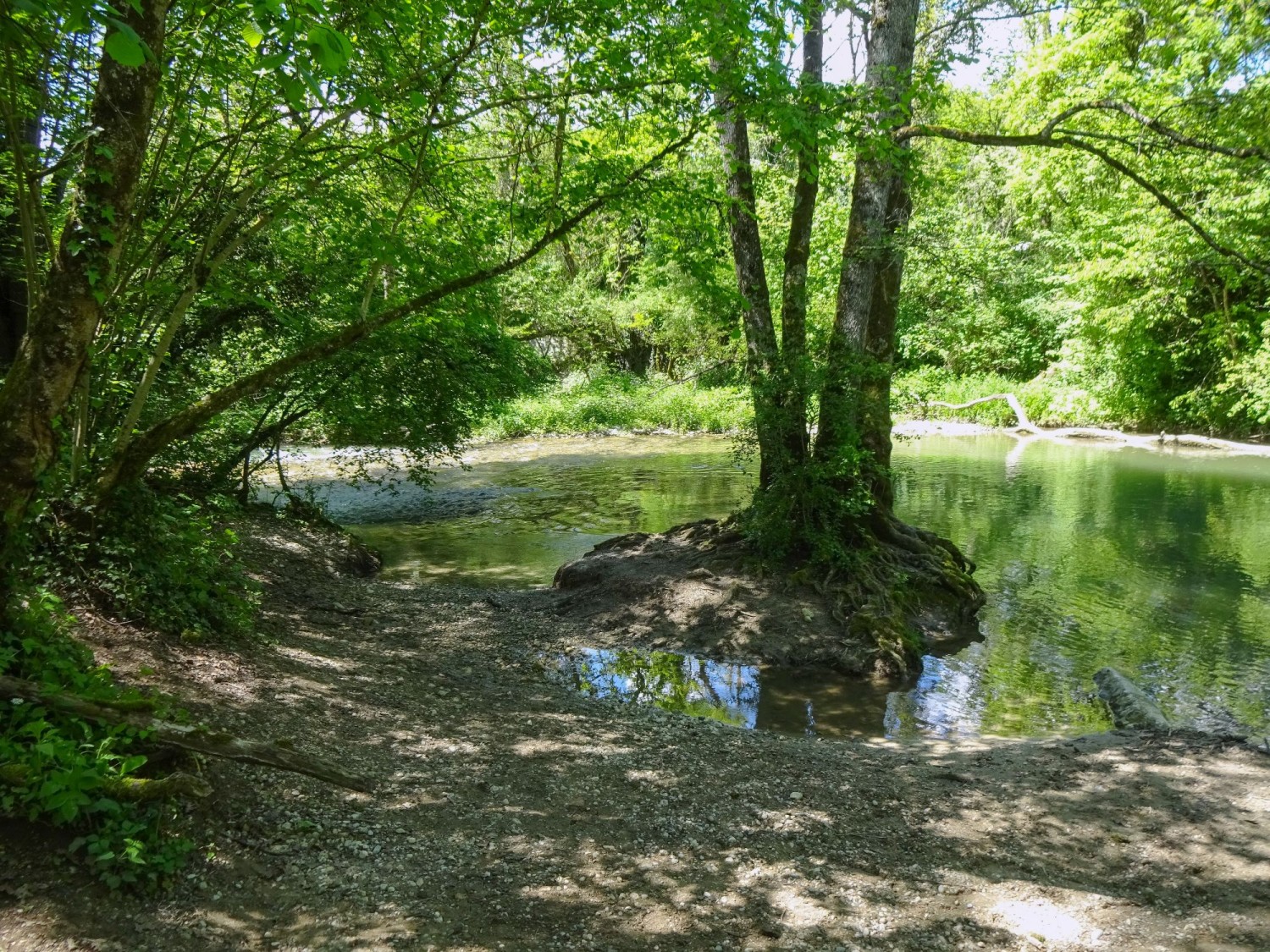 L’Allondon ravit par sa nature sauvage.